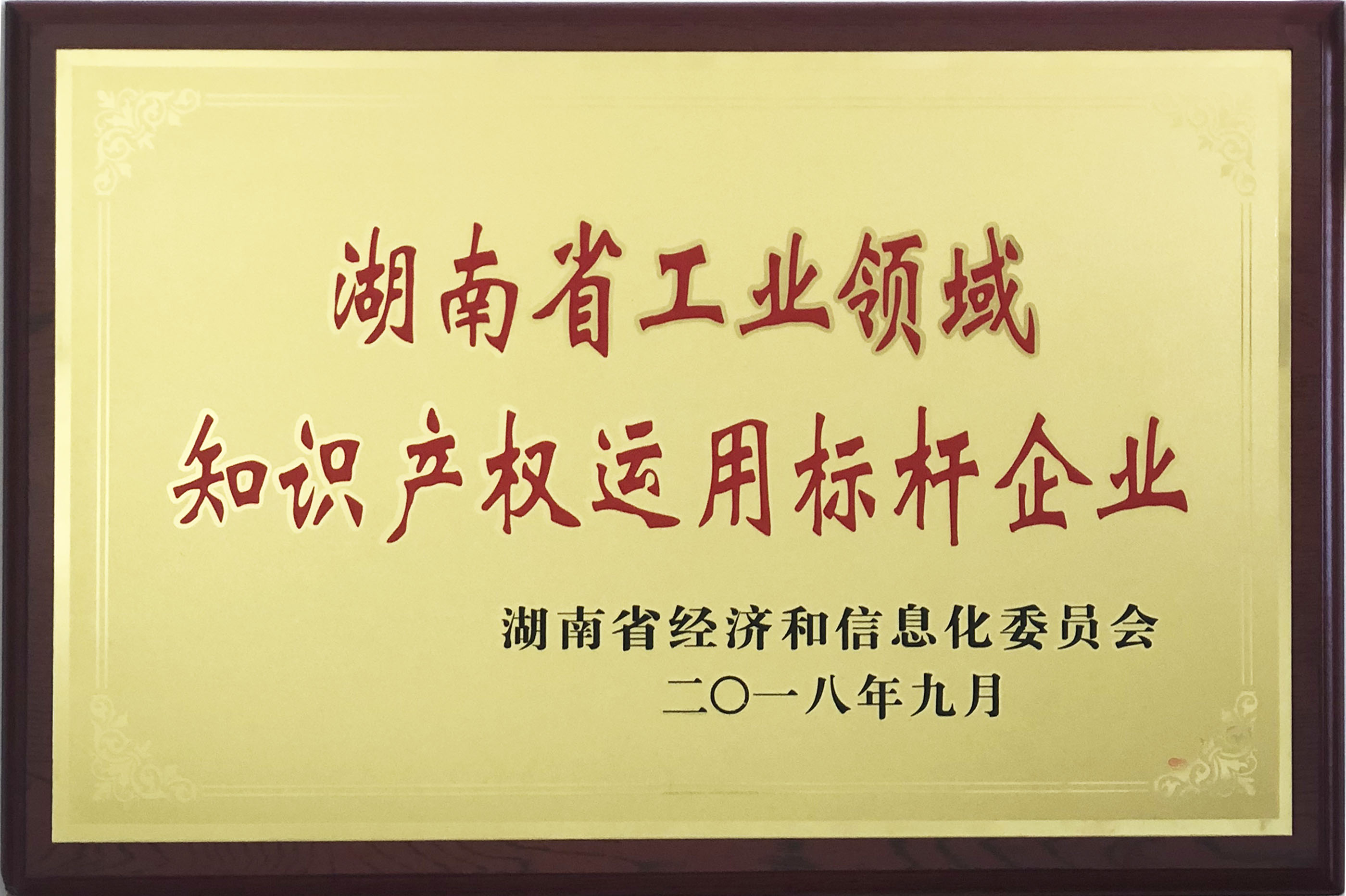 湖南省工業(yè)領(lǐng)域知識產(chǎn)權運用標桿企業(yè)