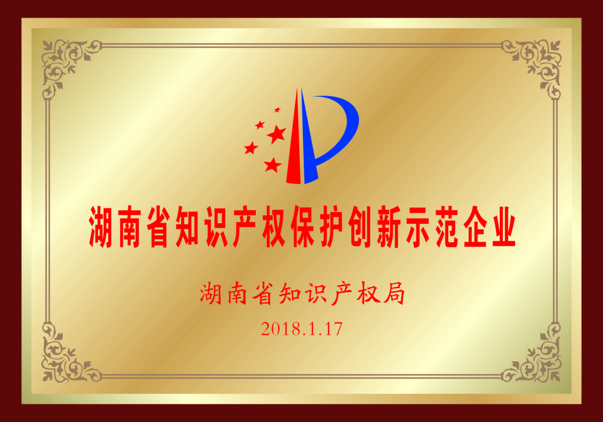 湖南知識產(chǎn)權保護創(chuàng  )新示范企業(yè)